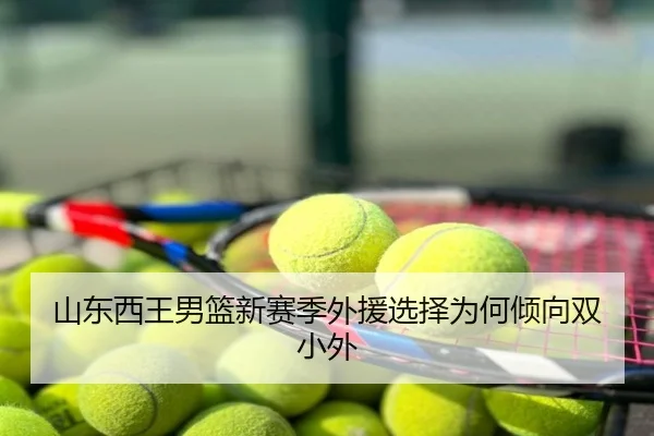 shan-dong-xi-wang-nan-lan-xin-sai-ji-wai-yuan-xuan-ze-wei-he-qing-xiang-shuang-xiao-wai-3-443.jpg